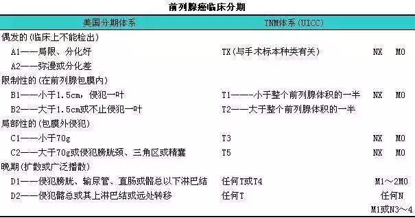 「医学美图」泌尿系统——10分钟搞定