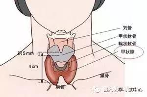 关于甲状腺结节的七个问题！